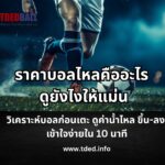 ราคาบอลไหลคืออะไร