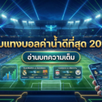 เว็บแทงบอลค่าน้ำดีที่สุด